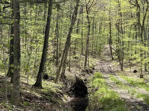 188 Rattlesnake Mountain Road Townshend VT 05353