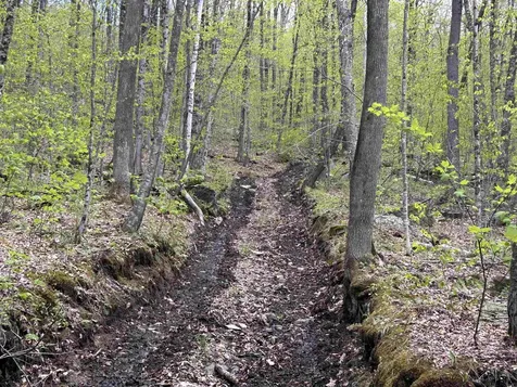 188 Rattlesnake Mountain Road Townshend VT 05353