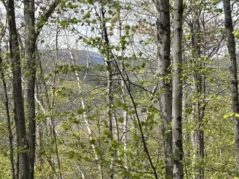 188 Rattlesnake Mountain Road Townshend VT 05353