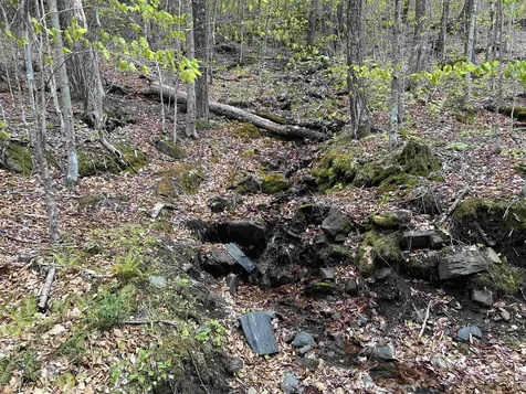 188 Rattlesnake Mountain Road Townshend VT 05353