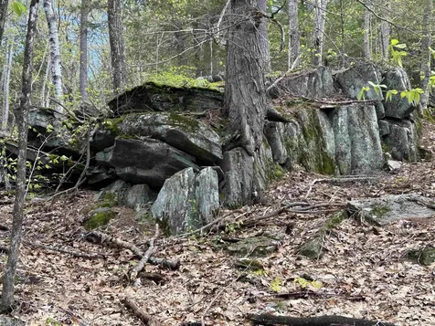 188 Rattlesnake Mountain Road Townshend VT 05353