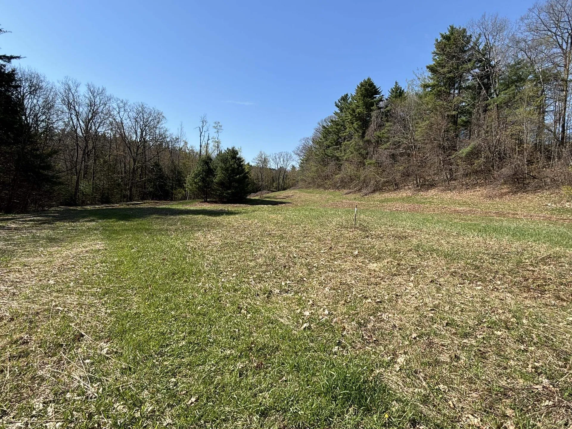 Off Mccrea Road Temple NH 03084