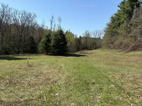 Off Mccrea Road Temple NH 03084