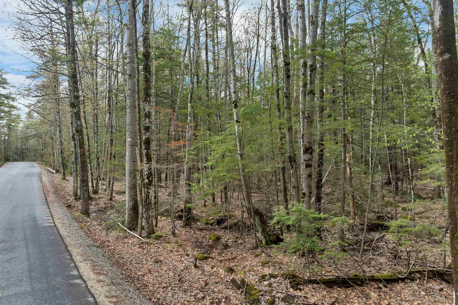 East Spur/rocky Shore Road Moultonborough NH 03254
