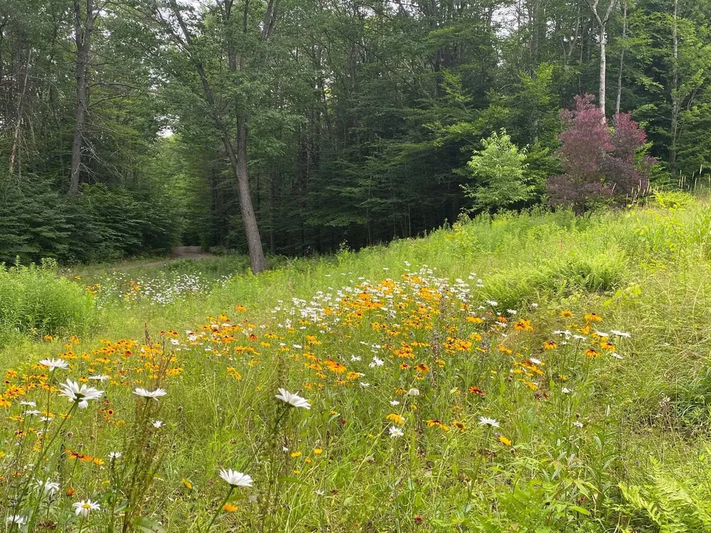 167 Peck Lane Westminster VT 05158