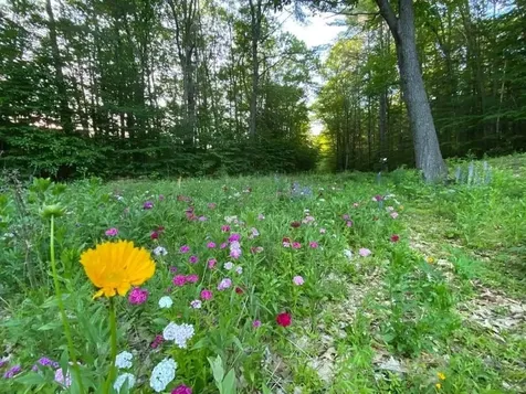 167 Peck Lane Westminster VT 05158