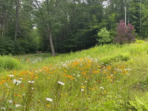167 Peck Lane Westminster VT 05158