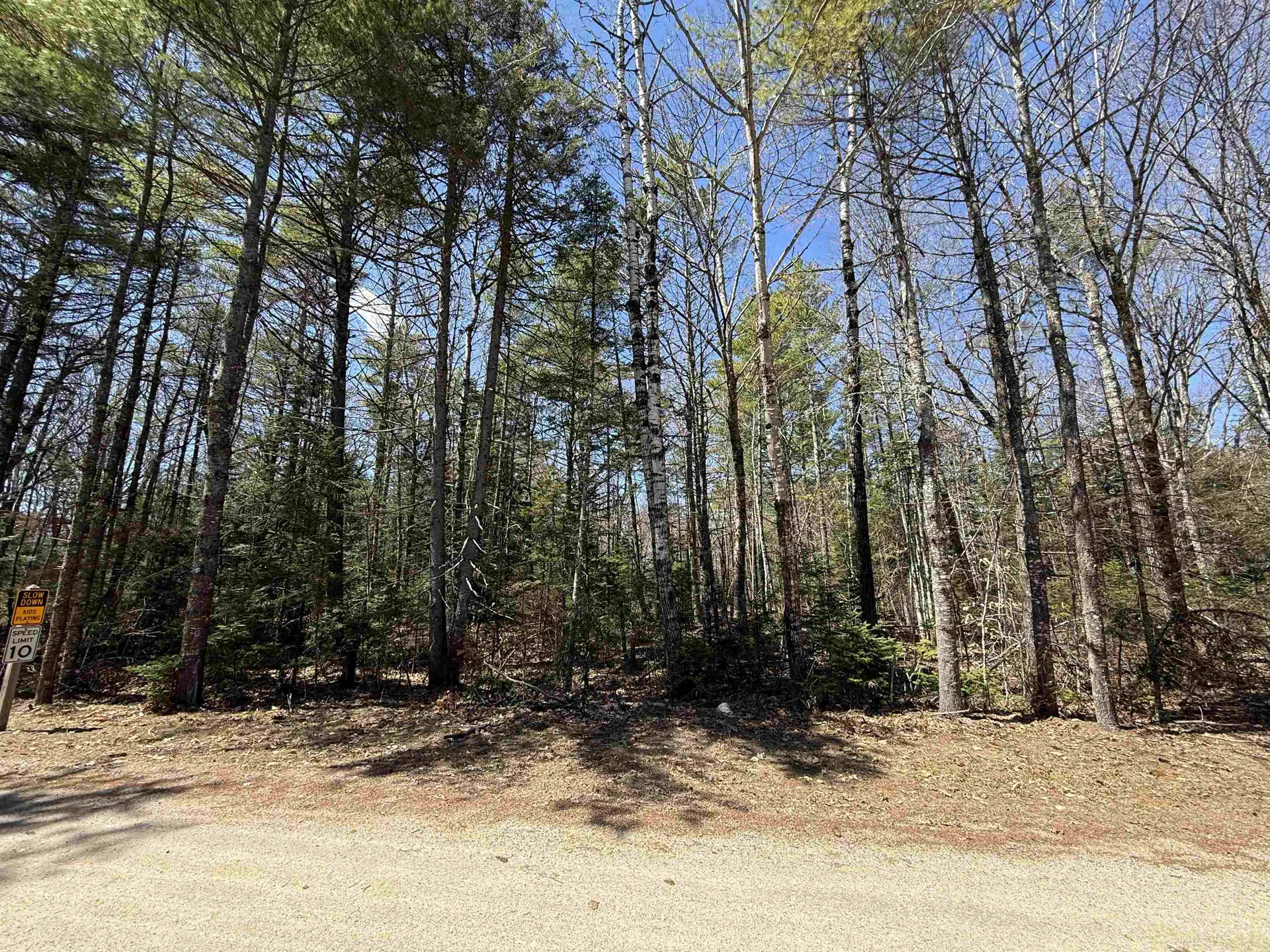 Lot 14 Partridgeberry Circle Tuftonboro NH 03816