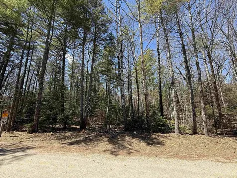 Lot 14 Partridgeberry Circle Tuftonboro NH 03816
