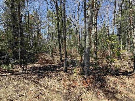 Lot 14 Partridgeberry Circle Tuftonboro NH 03816