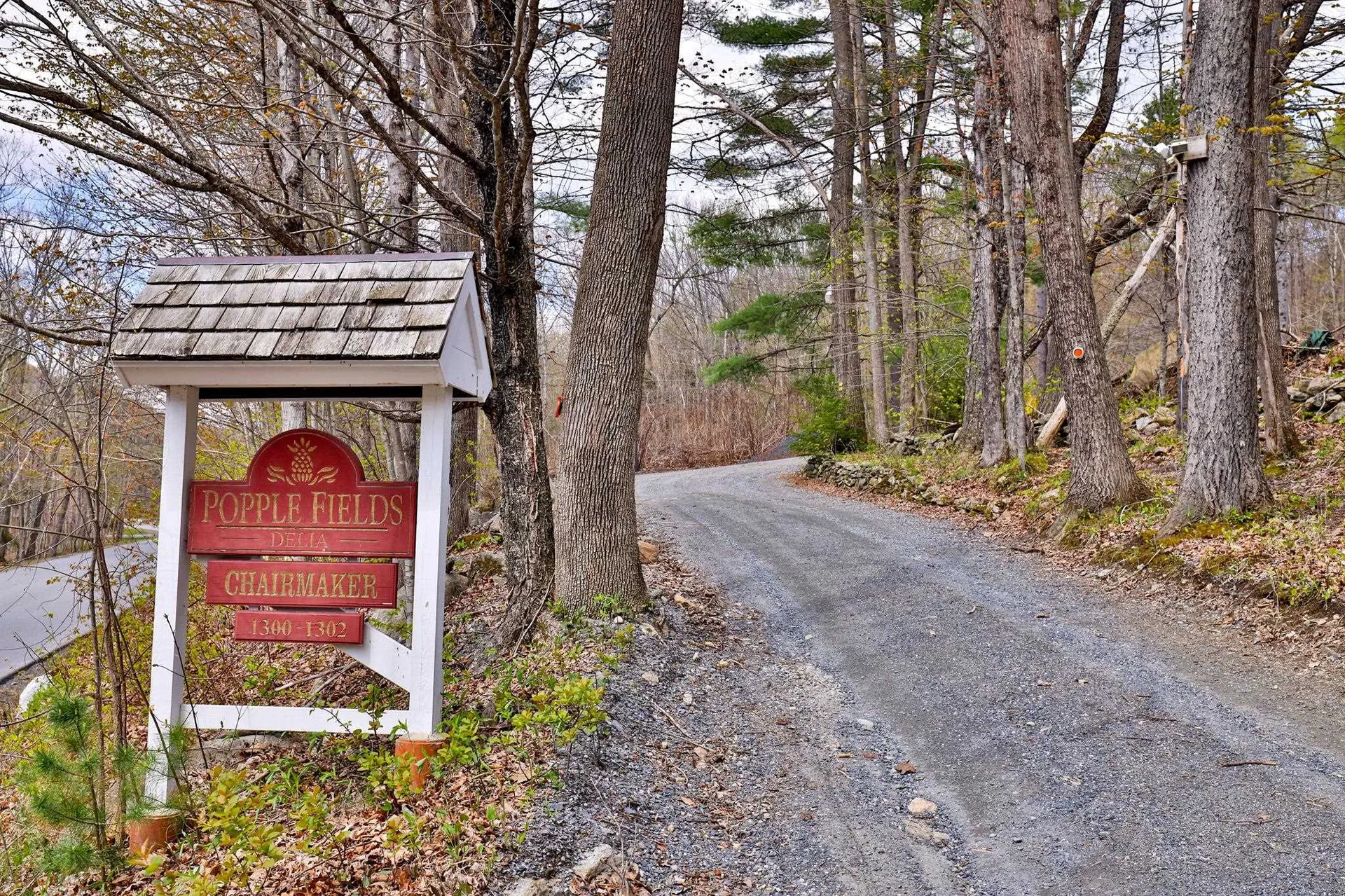 1302 Popple Dungeon Road Chester VT 05143