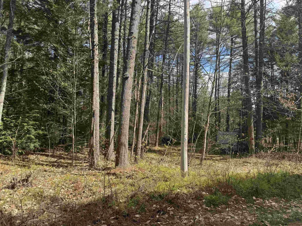 0 Riverwood Circle Effingham NH 03882