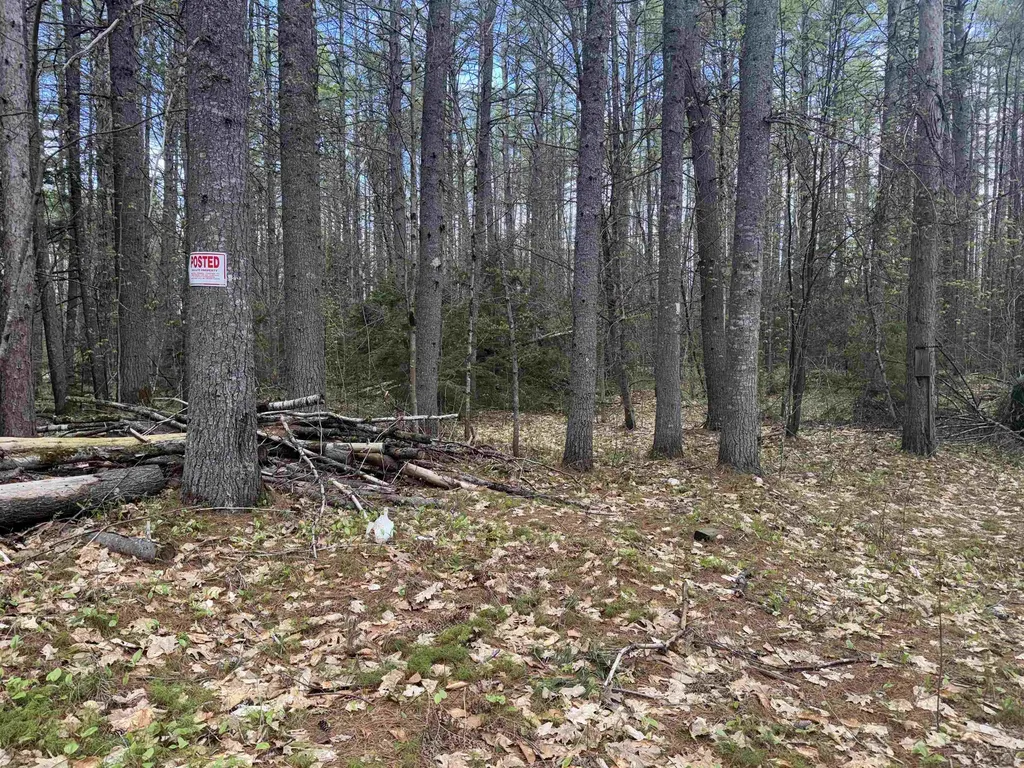 0 Riverwood Circle Effingham NH 03882