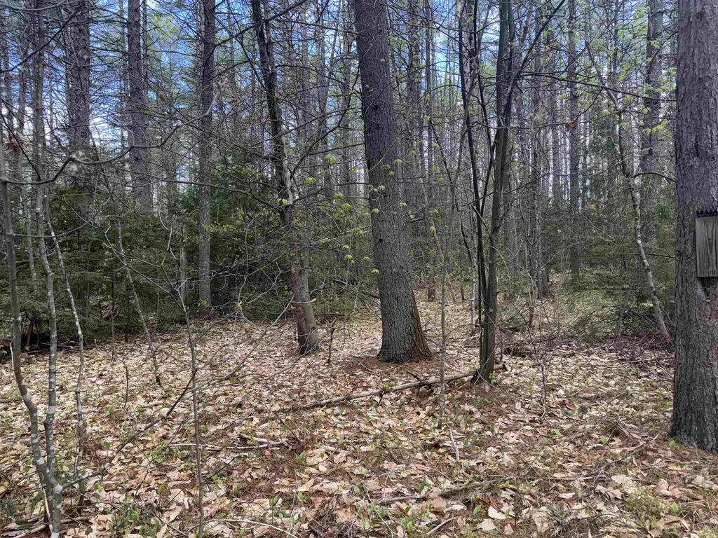 0 Riverwood Circle Effingham NH 03882