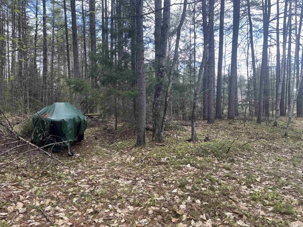 0 Riverwood Circle Effingham NH 03882