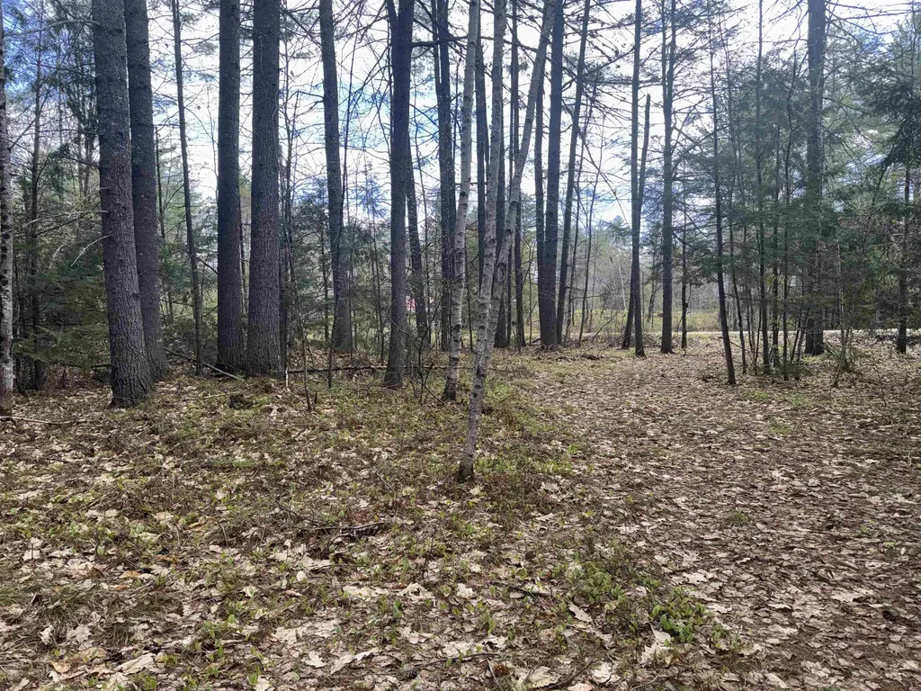 0 Riverwood Circle Effingham NH 03882