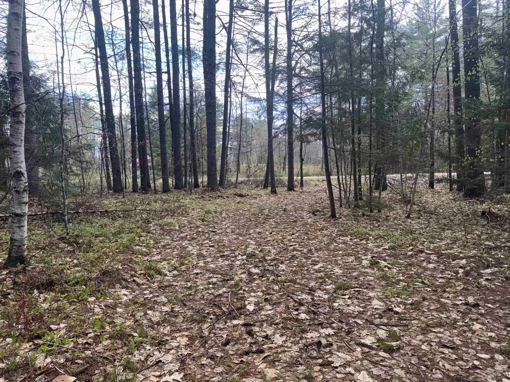 0 Riverwood Circle Effingham NH 03882