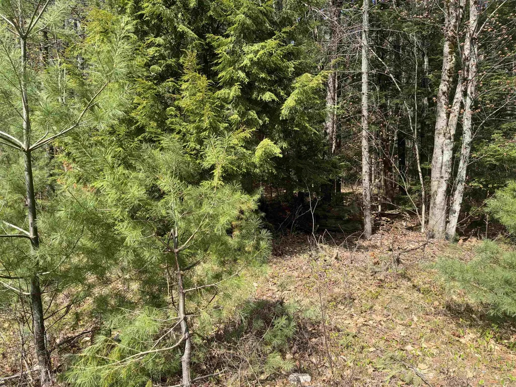 0 Riverwood Circle Effingham NH 03882