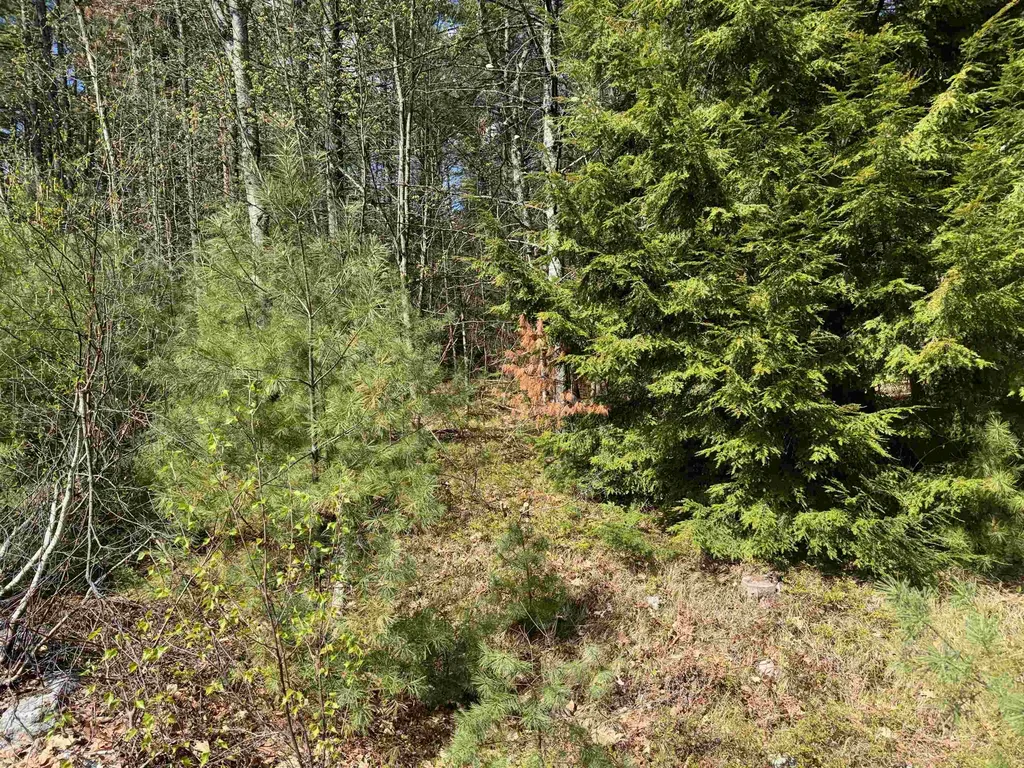 0 Riverwood Circle Effingham NH 03882