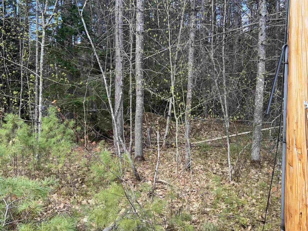0 Riverwood Circle Effingham NH 03882