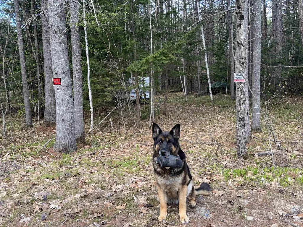 0 Riverwood Circle Effingham NH 03882
