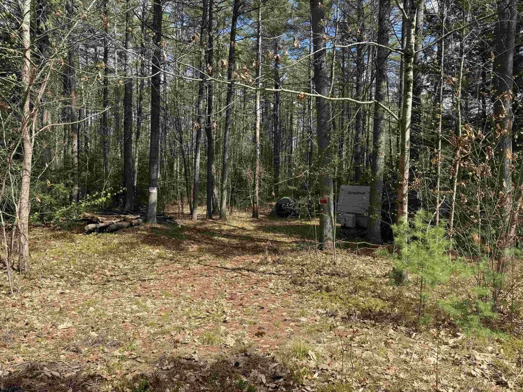 0 Riverwood Circle Effingham NH 03882