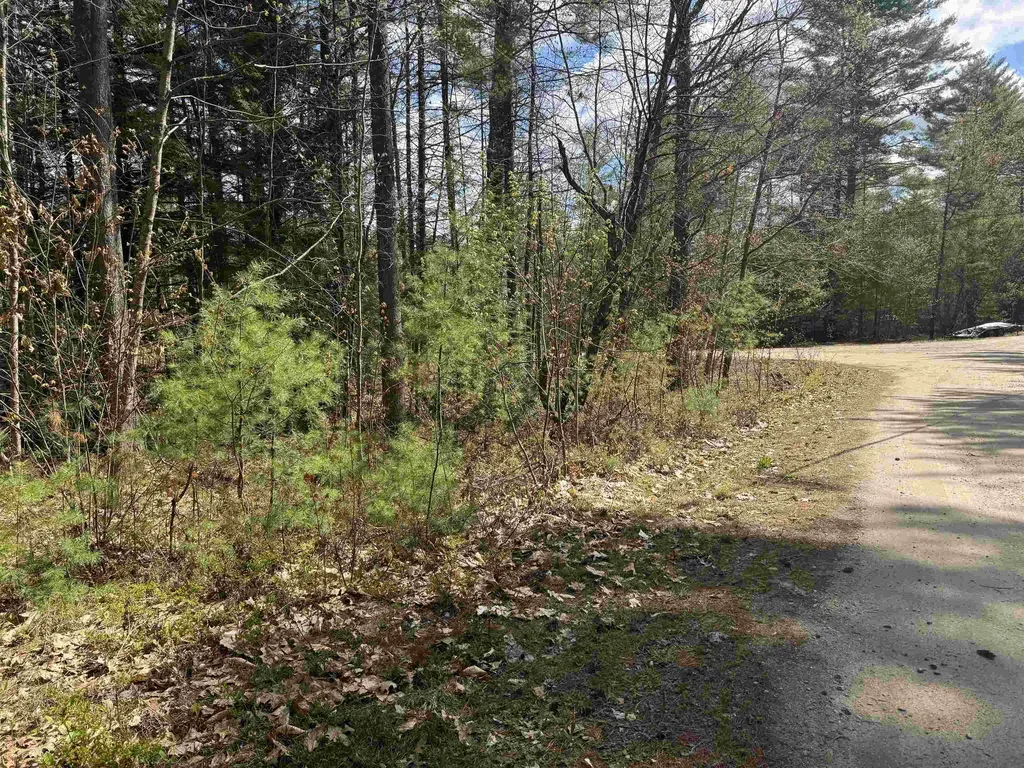0 Riverwood Circle Effingham NH 03882