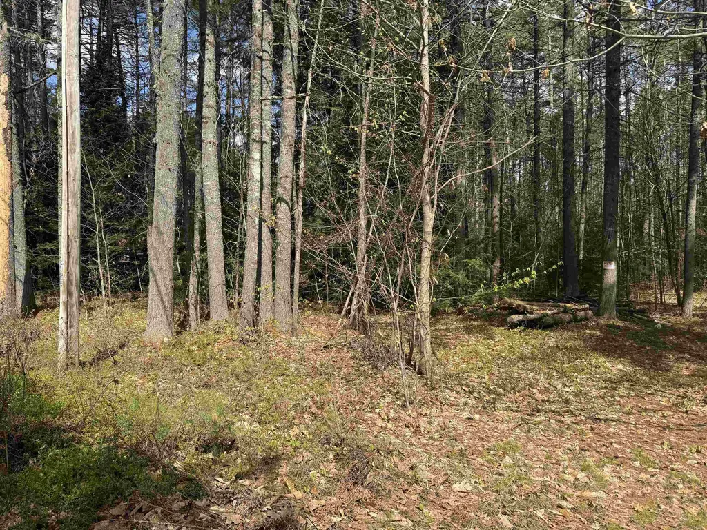 0 Riverwood Circle Effingham NH 03882