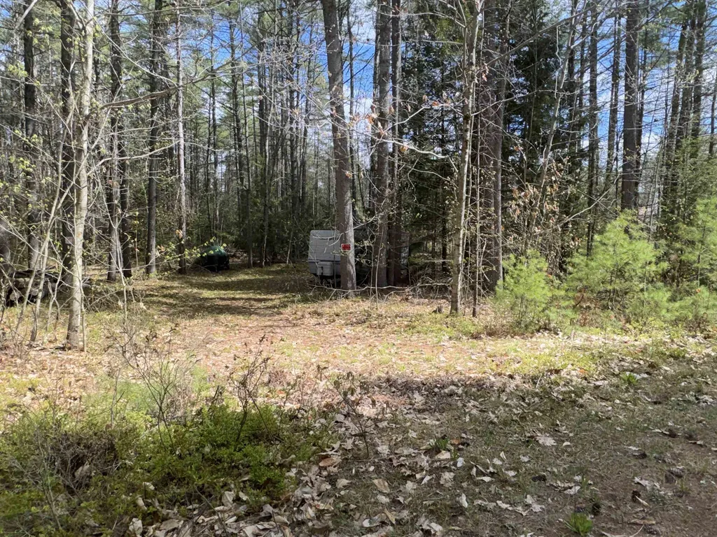 0 Riverwood Circle Effingham NH 03882