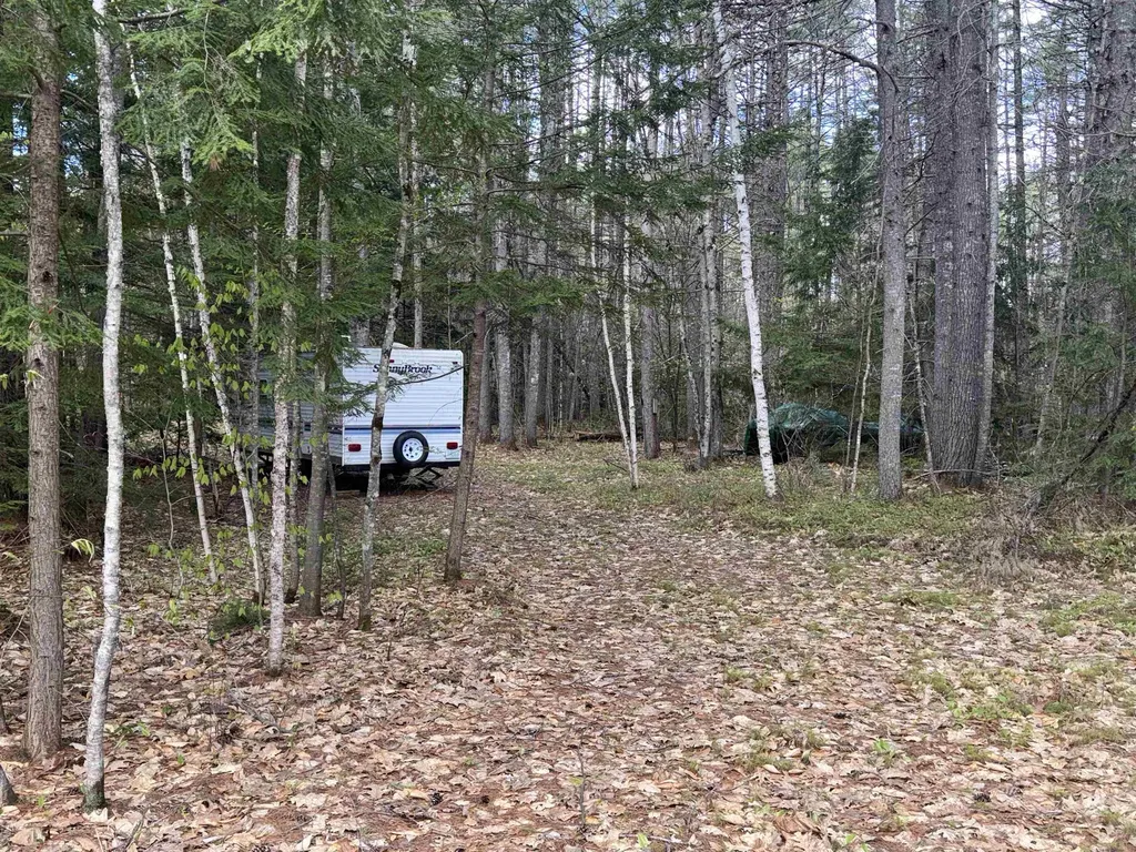 0 Riverwood Circle Effingham NH 03882
