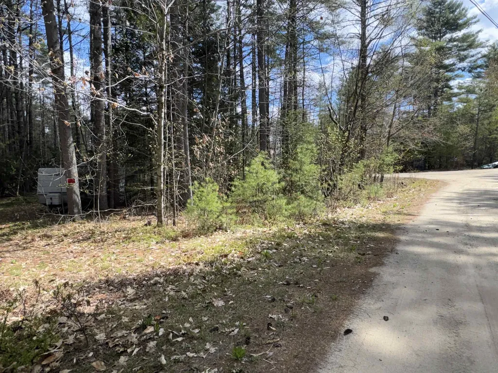 0 Riverwood Circle Effingham NH 03882