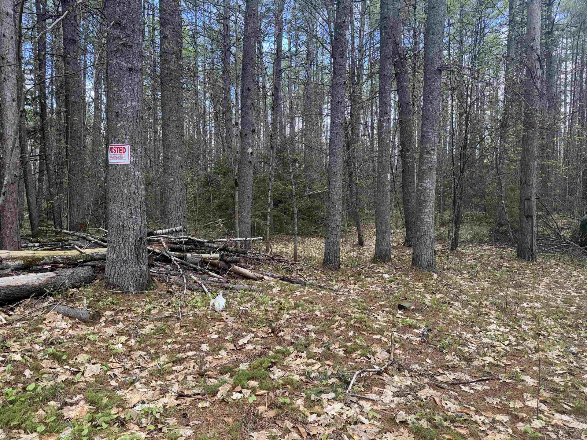 0 Riverwood Circle Effingham NH 03882