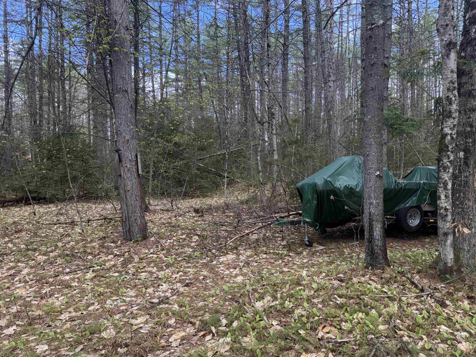 0 Riverwood Circle Effingham NH 03882