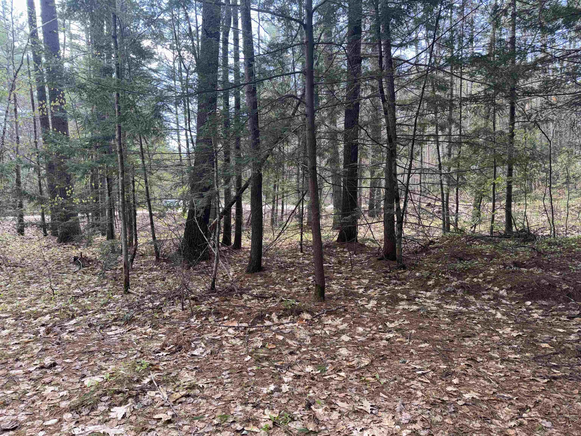 0 Riverwood Circle Effingham NH 03882