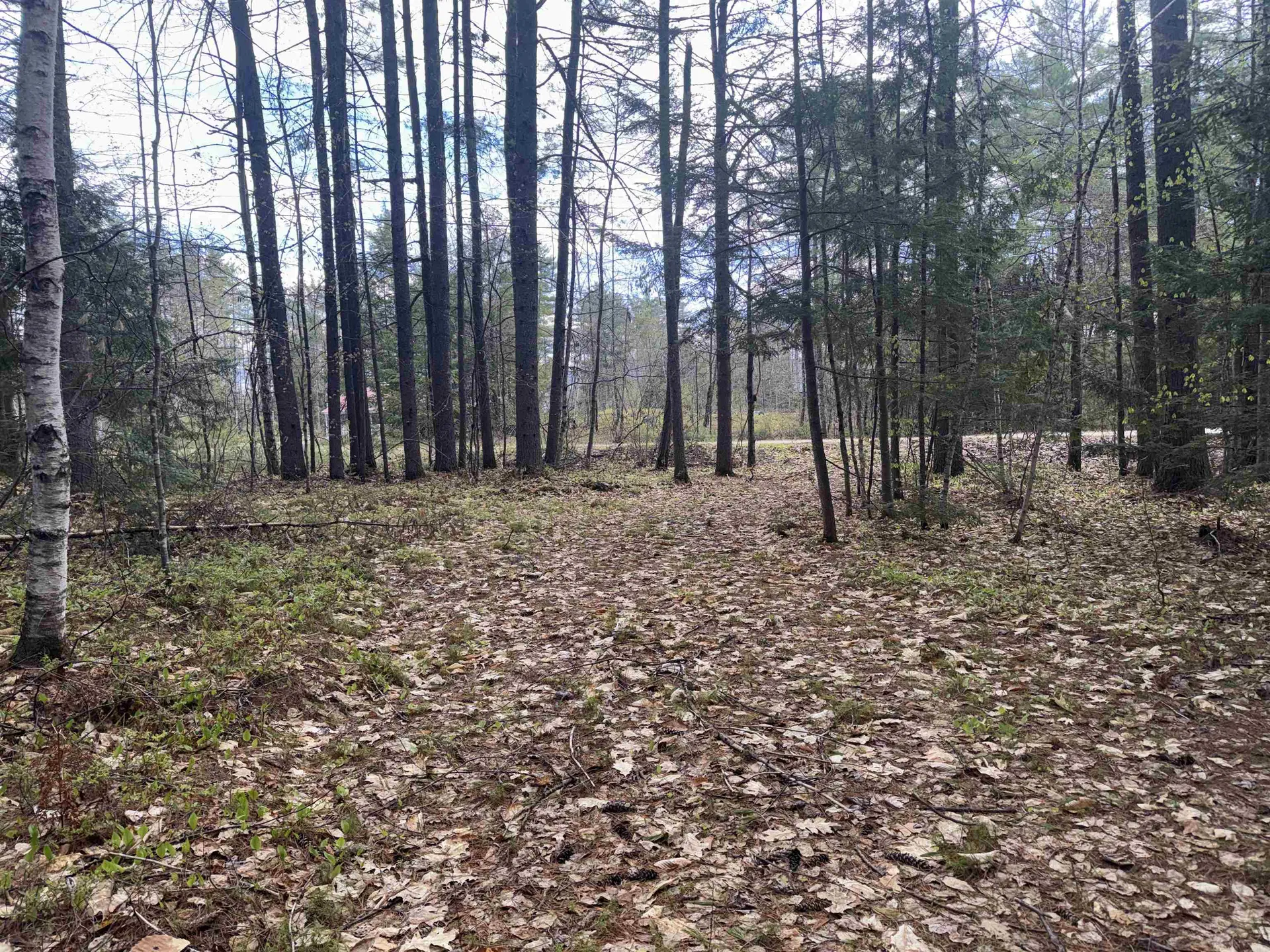 0 Riverwood Circle Effingham NH 03882