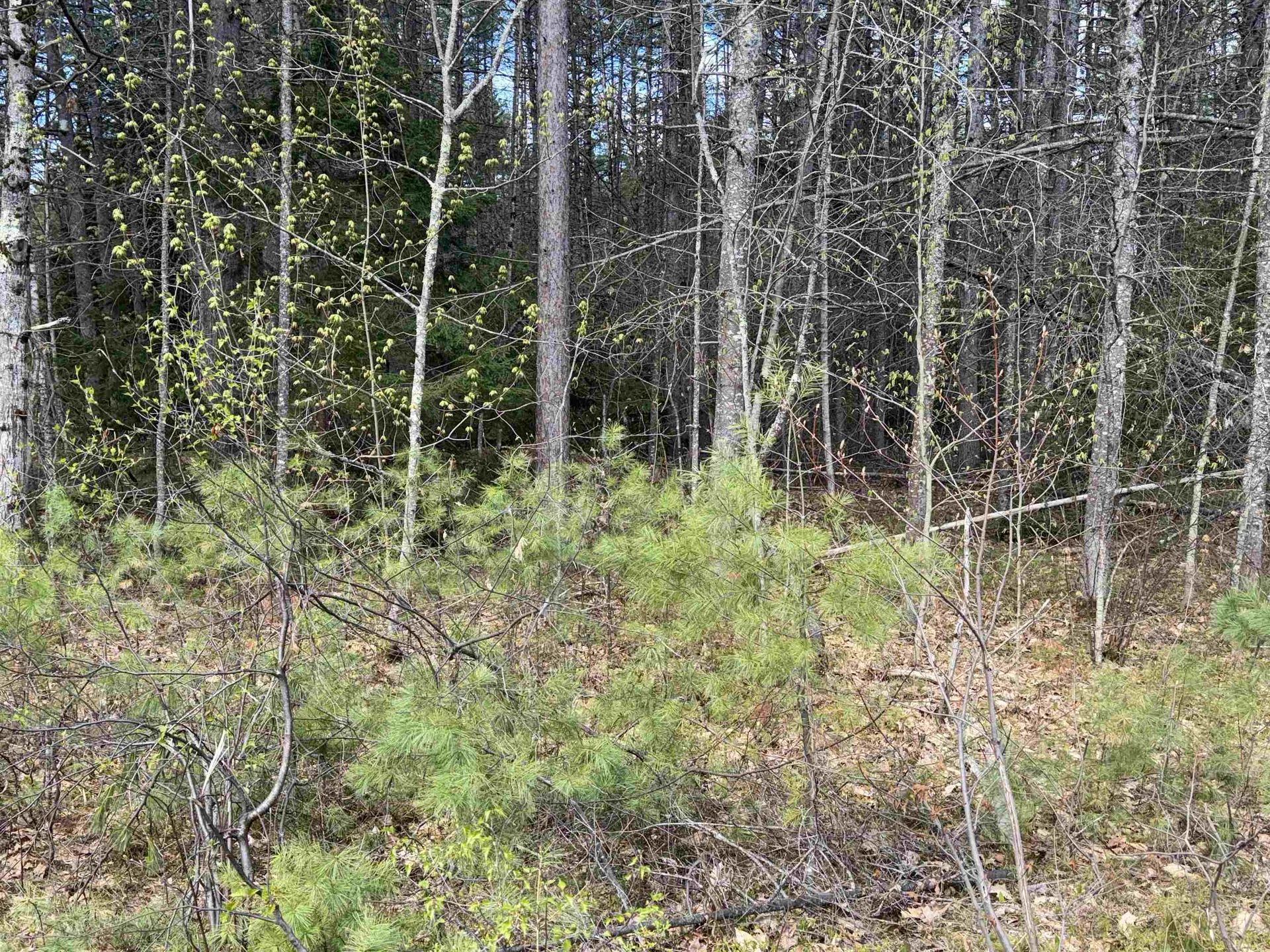 0 Riverwood Circle Effingham NH 03882