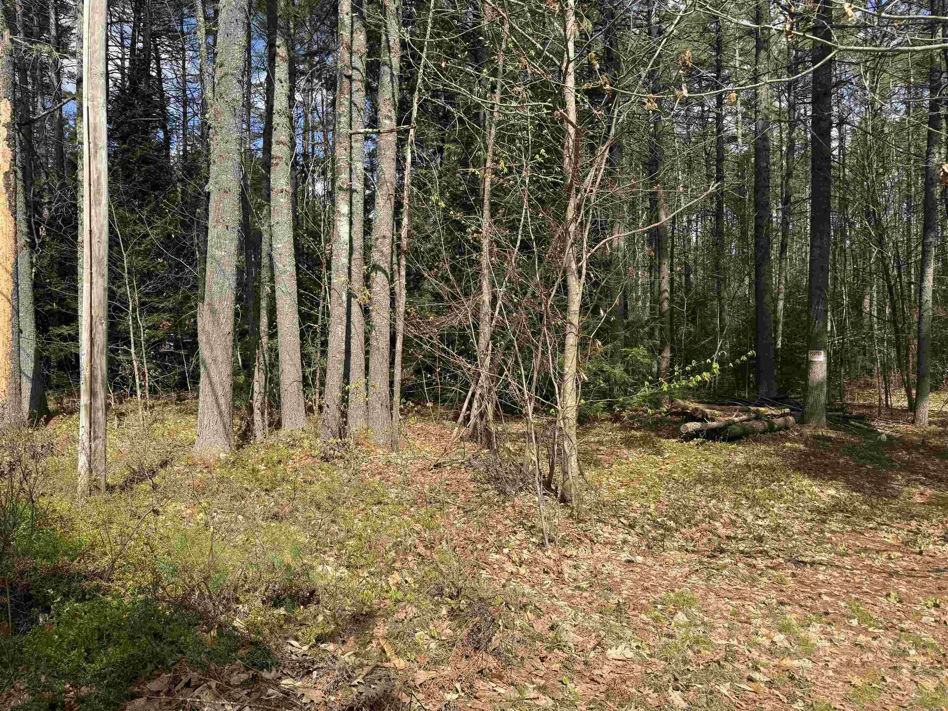 0 Riverwood Circle Effingham NH 03882