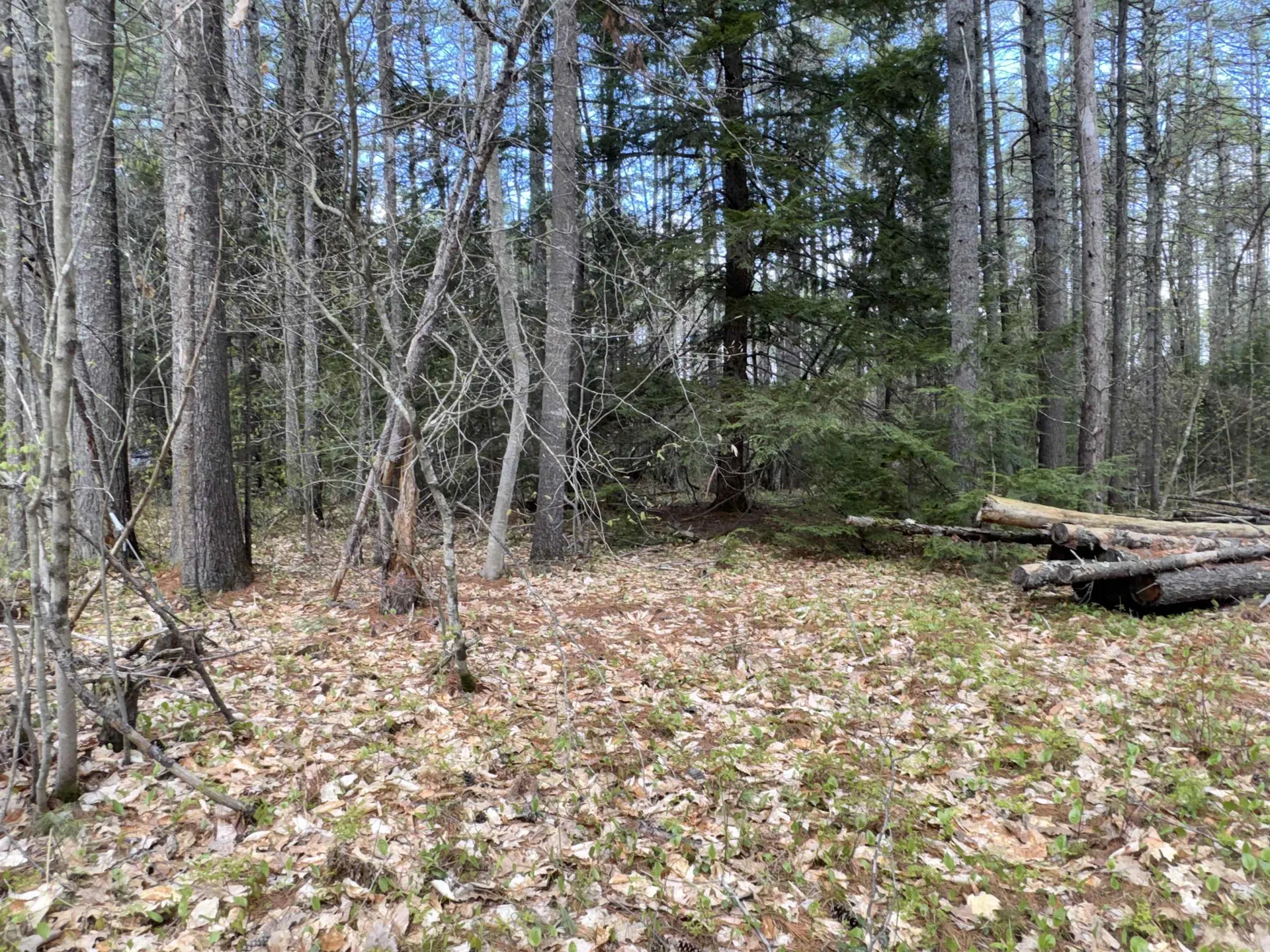 0 Riverwood Circle Effingham NH 03882