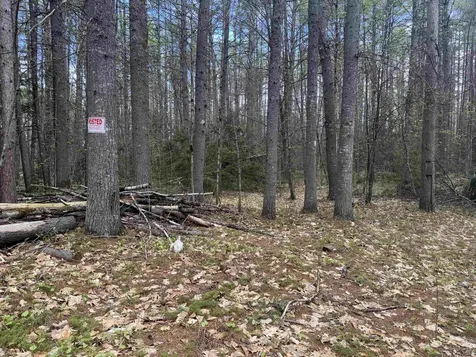 0 Riverwood Circle Effingham NH 03882