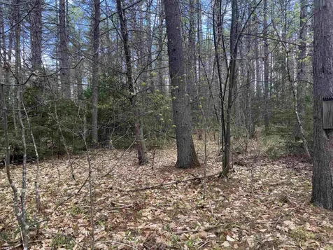 0 Riverwood Circle Effingham NH 03882