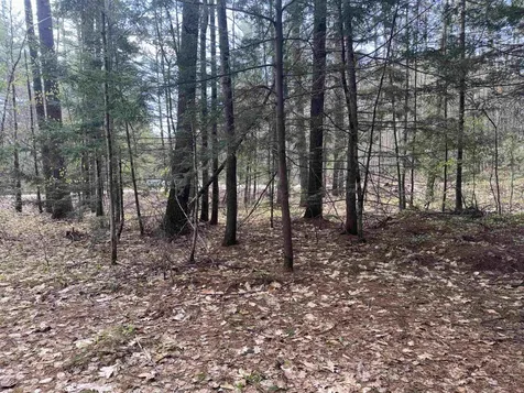 0 Riverwood Circle Effingham NH 03882