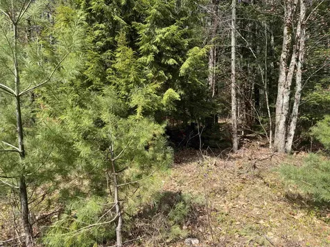 0 Riverwood Circle Effingham NH 03882