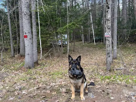0 Riverwood Circle Effingham NH 03882