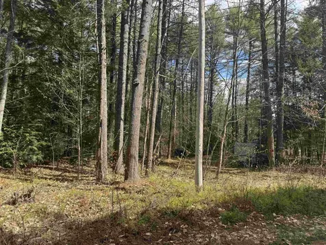 0 Riverwood Circle Effingham NH 03882