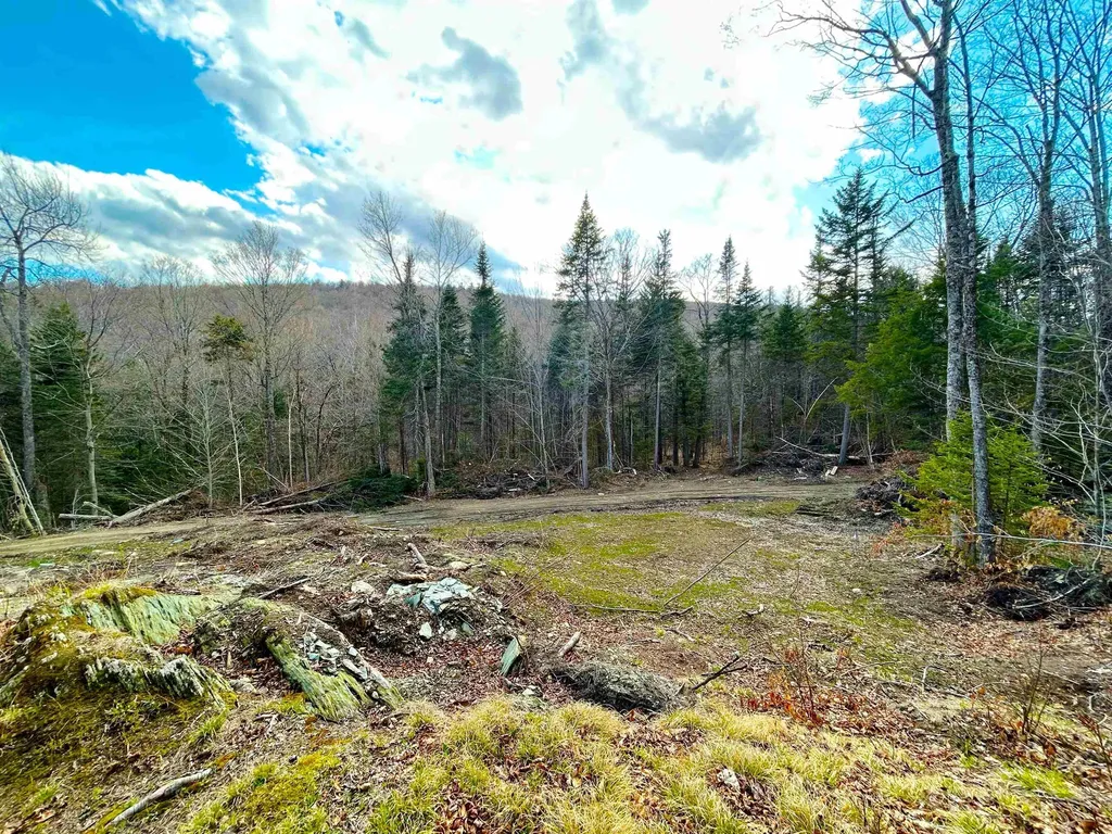 1164 Hallstrom Road Northfield VT 05663