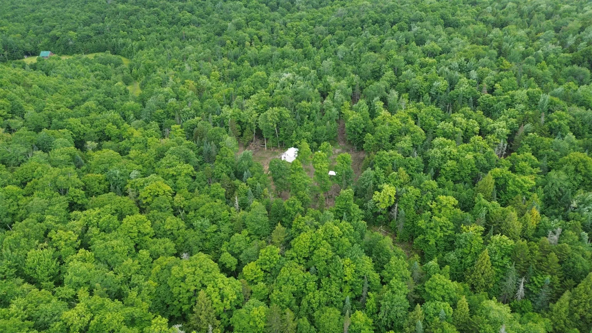 1164 Hallstrom Road Northfield VT 05663