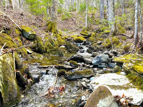 1164 Hallstrom Road Northfield VT 05663