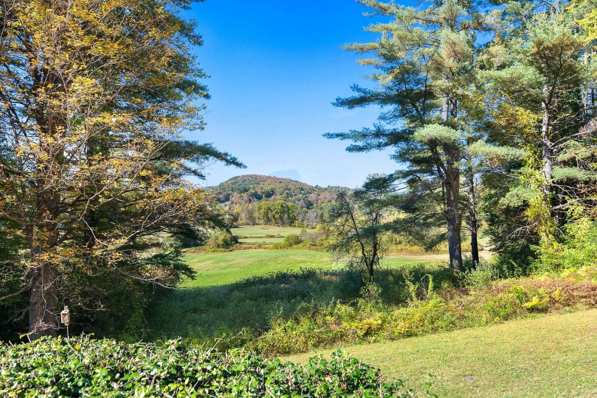 49 Oles Drive Guilford VT 05301