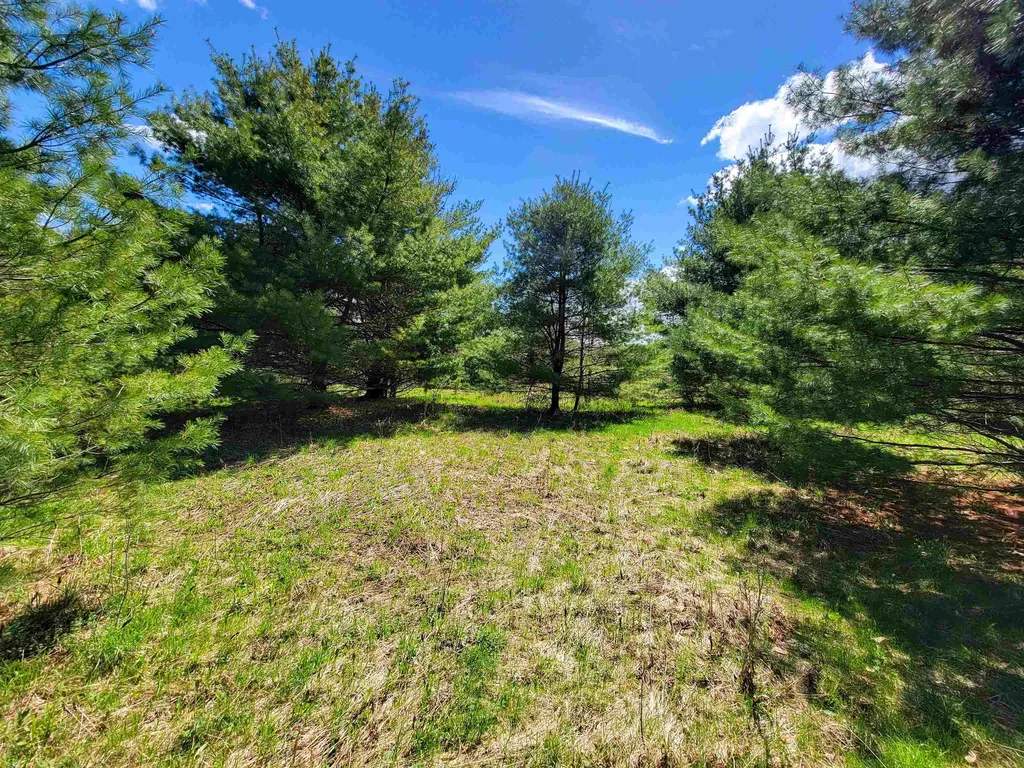 667 Cemetery Street Brookfield VT 05036