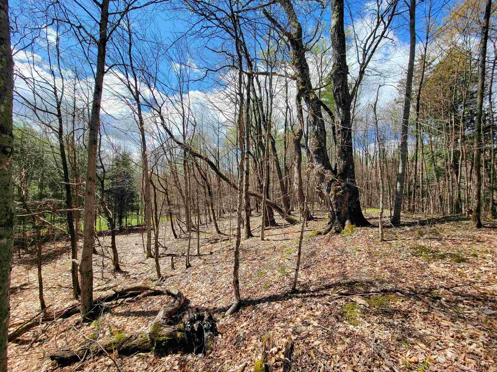 667 Cemetery Street Brookfield VT 05036